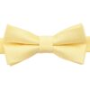 Daffodil Yellow Plain Twill Pre-Tied Bow Tie for Boys