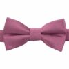 Grape Plain Twill Pre-Tied Bow Tie for Boys