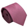 Grape Plain Twill Regular Tie for Boys
