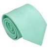 Mint Green Plain Twill Regular Tie for Boys