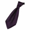 Cadbury Purple Greek Key Pre-Tied Wedding Cravat for Boys