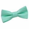 Mint Green Greek Key Pre-Tied Bow Tie