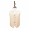 Champagne Solid Check Wedding Waistcoat and Tie Set