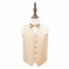 Champagne Solid Check Wedding Waistcoat and Tie Set