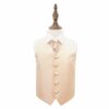 Champagne Solid Check Wedding Waistcoat and Tie Set