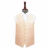 Champagne Solid Check Wedding Waistcoat and Tie Set