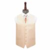 Champagne Solid Check Wedding Waistcoat and Tie Set