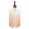 Champagne Solid Check Wedding Waistcoat and Tie Set
