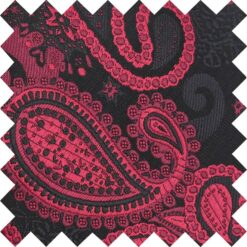 Black and Red Paisley Bohemian Swatch Black and Red Paisley Bohemian Swatch