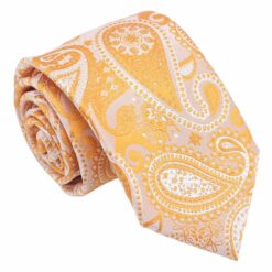 Apricot Paisley Bohemian Regular Tie for Boys