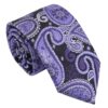 Black and Purple Paisley Bohemian Regular Tie for Boys