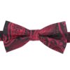 Black and Red Paisley Bohemian Pre-Tied Bow Tie