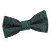 Baby Pink Paisley Pre-Tied Bow Tie for Boys