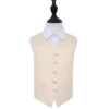 Champagne Plain Satin Wedding Waistcoat for Boys