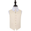 Champagne Plain Satin Wedding Waistcoat and Cravat Set for Boys