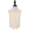 Champagne Plain Satin Wedding Waistcoat and Tie Set for Boys