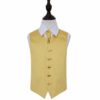 Gold Plain Satin Wedding Waistcoat and Cravat Set for Boys