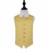 Gold Plain Satin Wedding Waistcoat and Tie Set for Boys