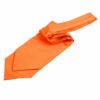 Burnt Orange Plain Satin Self-Tie Wedding Cravat