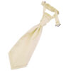 Champagne Plain Satin Pre-Tied Wedding Cravat