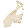 Champagne Plain Satin Wedding Cravat and Pocket Square Set