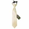 Champagne Plain Satin Elasticated Tie For Boys