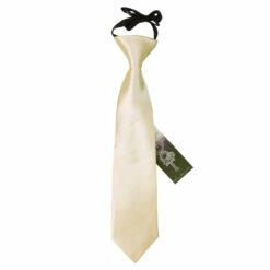 Champagne Plain Satin Elasticated Tie For Boys Champagne Plain Satin Elasticated Tie For Boys