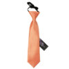 Coral Plain Satin Elasticated Tie For Boys
