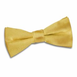 Gold Plain Satin Pre-Tied Bow Tie for Boys Gold Plain Satin Pre-Tied Bow Tie for Boys