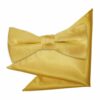 Gold Plain Satin Bow Tie and Pocket Square Set for Boys