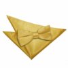 Gold Plain Satin Bow Tie and Pocket Square Set