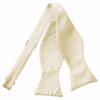 Champagne Plain Satin Self-Tie Bow Tie