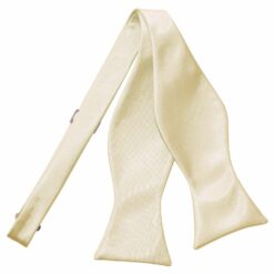 Champagne Plain Satin Self-Tie Bow Tie Champagne Plain Satin Self-Tie Bow Tie
