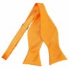 Fluorescent Orange Plain Satin Self-Tie Bow Tie