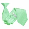 Mint Green Plain Satin Clip On Tie