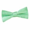 Mint Green Plain Satin Pre-Tied Bow Tie for Boys