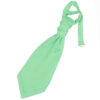 Mint Green Plain Satin Pre-Tied Wedding Cravat for Boys