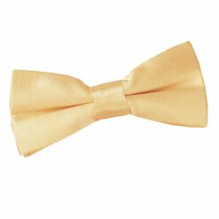 Pale Yellow Plain Satin Pre-Tied Bow Tie for Boys