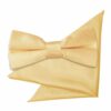 Pale Yellow Plain Satin Bow Tie and Pocket Square Set for Boys