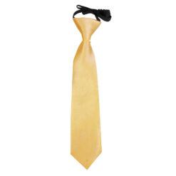 Pale Yellow Plain Satin Elasticated Tie For Boys
