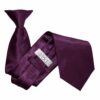 Plum Plain Satin Clip On Tie
