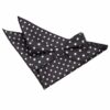 Black Polka Dot Classic Bow Tie and Pocket Square Set