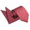 Burgundy Polka Dot Classic Tie and Pocket Square Set