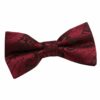 Burgundy Paisley Pre-Tied Bow Tie