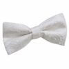 Ivory Paisley Pre-Tied Bow Tie