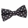 Black Polka Dot Classic Pre-Tied Bow Tie