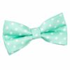 Mint Green Polka Dot Classic Pre-Tied Bow Tie