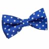Royal Blue Polka Dot Classic Pre-Tied Bow Tie