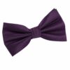 Cadbury Purple Solid Check Pre-Tied Bow Tie