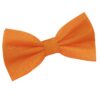 Celosia Orange Solid Check Pre-Tied Bow Tie